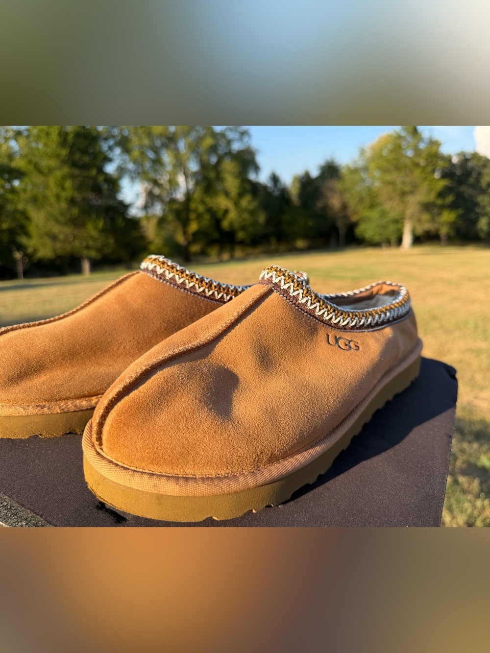UGG Men's Chestnut/Tan Suede Slip-On Loafers
